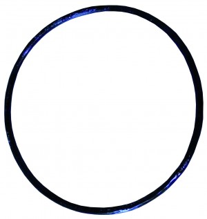 Artiga / Ditech O-Ring für Filtertasse